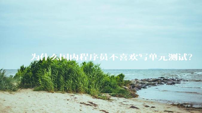 为什么国内程序员不喜欢写单元测试？