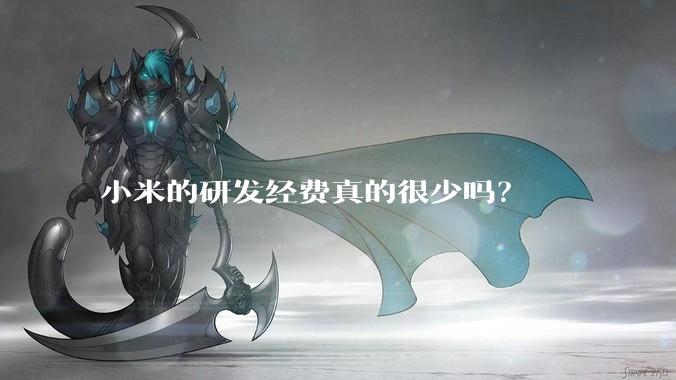 小米的研发经费真的很少吗？