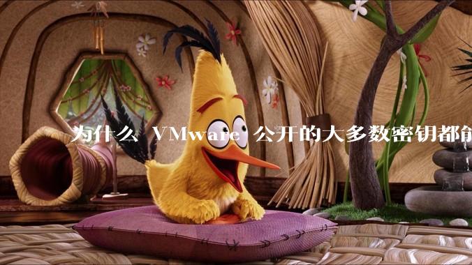 为什么 VMware 公开的大多数密钥都能用？