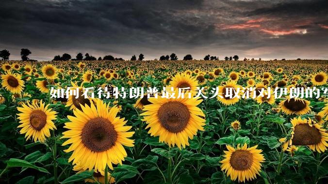 如何看待特朗普最后关头取消对伊朗的军事行动?