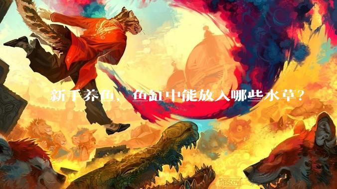 新手养鱼，鱼缸中能放入哪些水草？